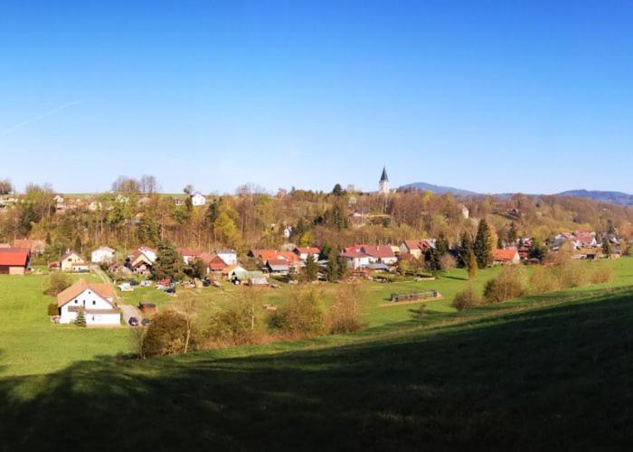 Ferienwohnung Charlott Im Riesengebirge Dolni Lanov Esterno foto